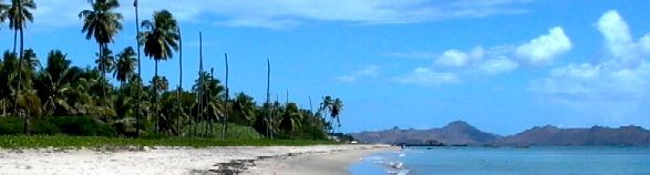 Pinneys Beach, Nevis: paradise found