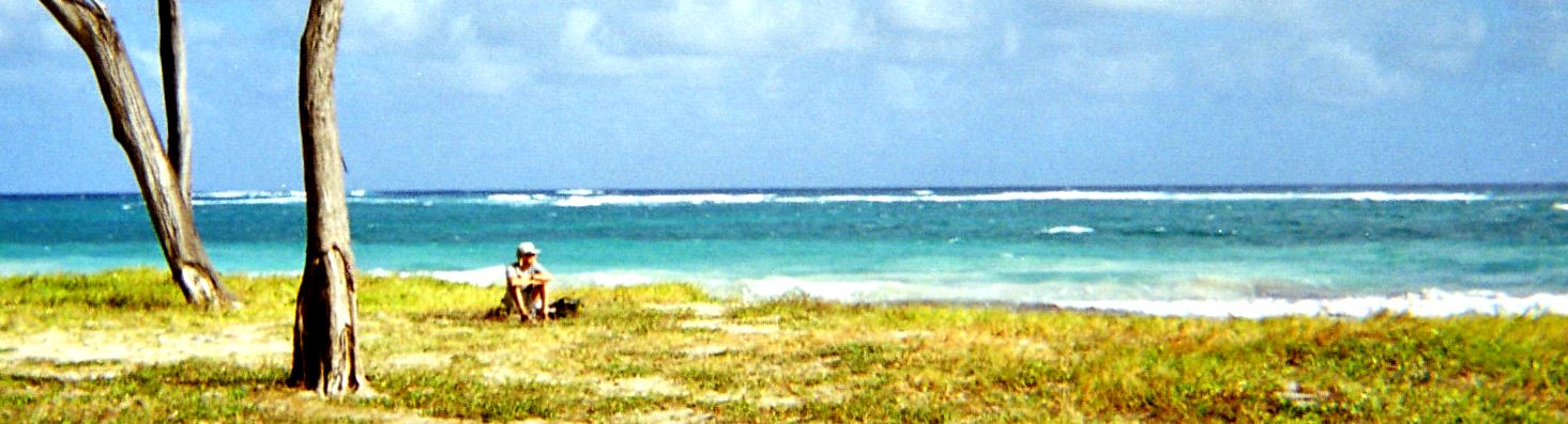 Windward beach on Martinique