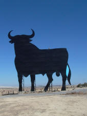 Climbing the bull in Andalucia